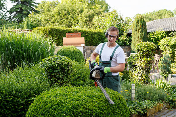 Best Aeration Services  in The Plains, OH